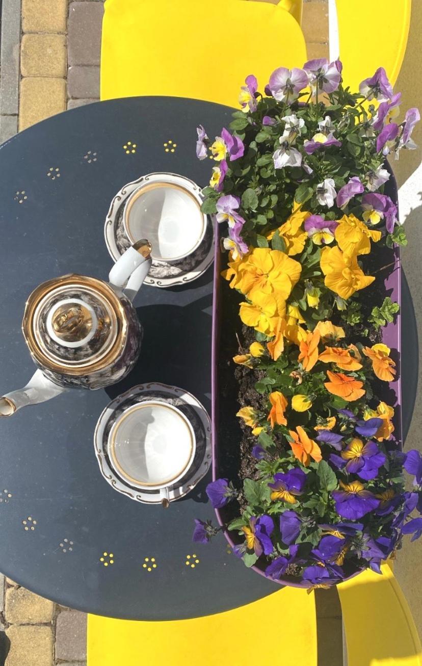 Apartament Rozany コパリノ エクステリア 写真
